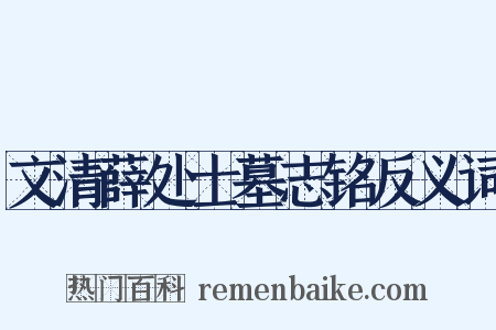 文清薛处士墓志铭反义词是什么意思的图片